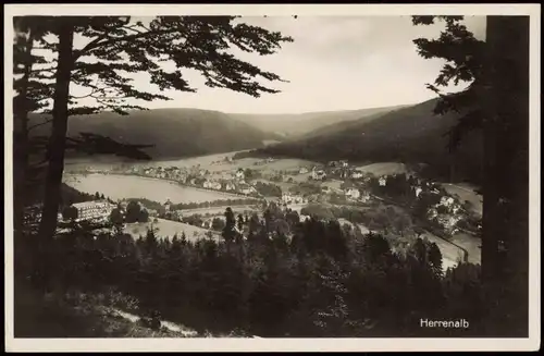 Ansichtskarte Bad Herrenalb Panorama-Ansicht 1931