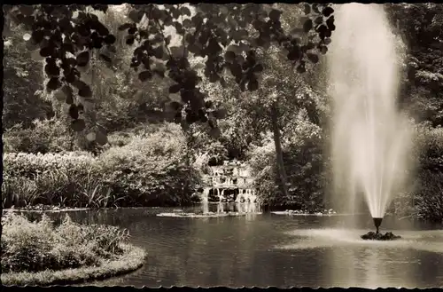 Ansichtskarte Bad Nauheim Kleiner Teich im Kurpark 1958