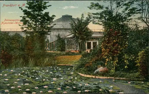 Ansichtskarte Frankfurt am Main Palmengarten Nymphäen-Weiher 1910