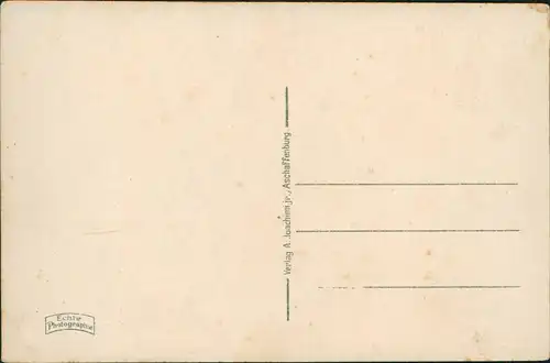 Ansichtskarte Aschaffenburg Panorama-Ansicht Gesamtansicht 1930