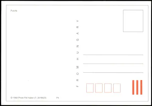 .Ungarn Ungarn (Allgemein) Puszta Mehrbildkarte mit Pferden 1990