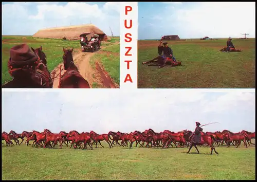 .Ungarn Ungarn (Allgemein) PUSZTA, Pferde Motive (Mehrbild-AK) 1990