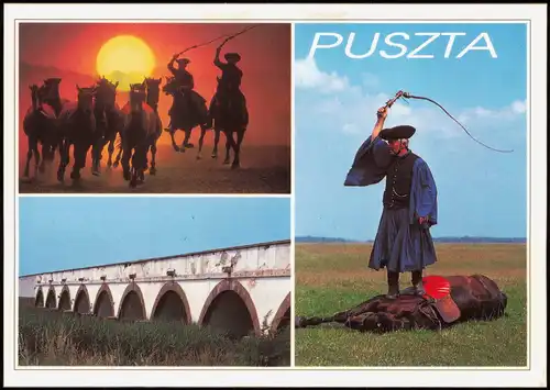 Postcard .Ungarn Pferde PUSZTA Ungarn (Allgemein), Mehrbildkarte 1990