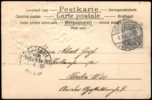 Ansichtskarte  Holzimitierende AK Weinlaub Weintrauben 1902 Prägekarte