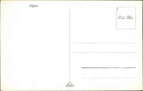 Postcard Algier دزاير Panorama-Ansicht, Blick durch Palmen 1940