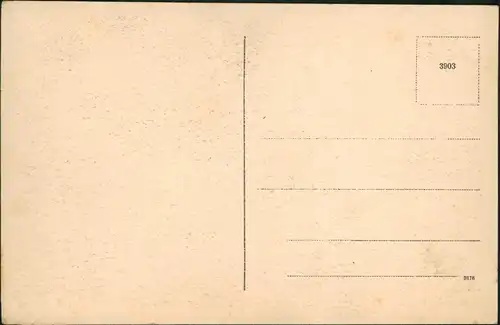 Postkaart Arnheim Arnhem Omstreken Arnhem Middachter allée 1920