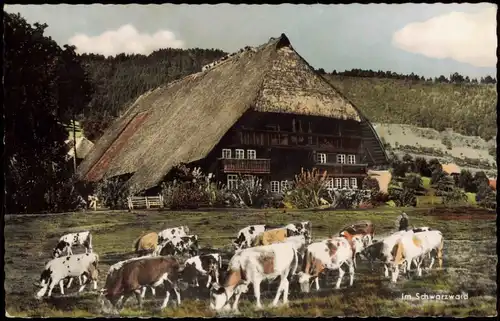 Ansichtskarte .Baden-Württemberg Schwarzwaldhaus Kühe 1962