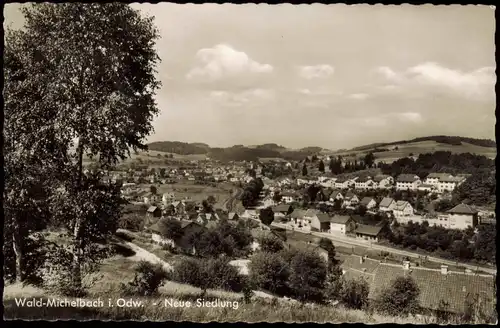 Ansichtskarte Waldmichelbach Neue Siedlung - Fotokarte 1968