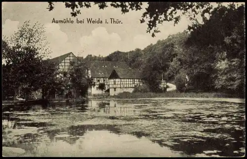 Ansichtskarte Weida (Thüringen) Aumühle 1962