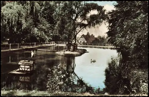Ansichtskarte Bad Essen Partie am Mühlenteich 1968