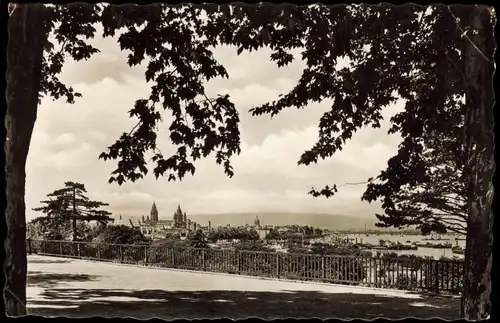 Ansichtskarte Mainz Blick vom Stadtgarten 1956