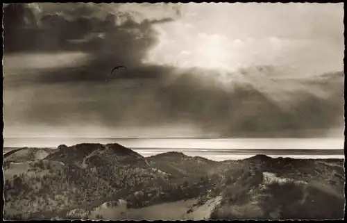 Ansichtskarte Sylt Insel Sylt In den Dünen Stimmungsbild 1961