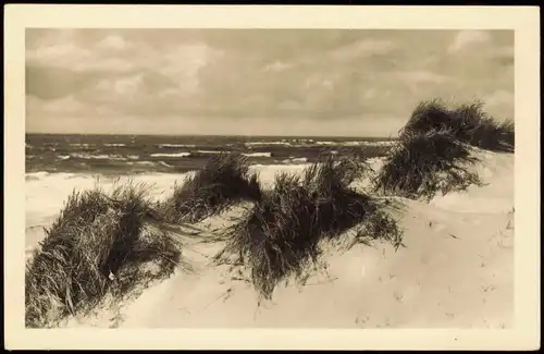 Ansichtskarte Sylt Insel Sylt Dünen - Fotokarte 1952  Stempel Hapag Seebäderdienst