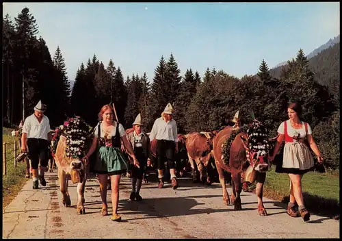 .Bayern Almabtrieb im Allgäu, Leute mit geschmückten Kühen 1980