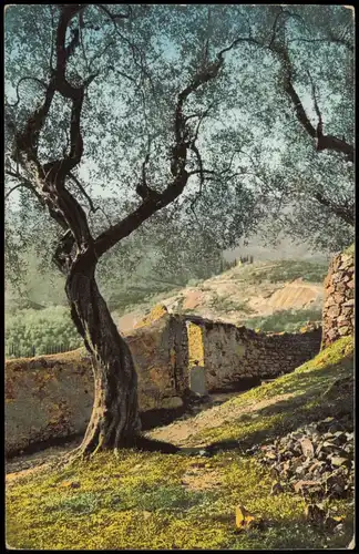 Künstlerkarte: Landschaft (vermutlich in Südtirol Italien) 1909
