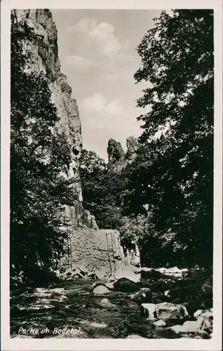 Ansichtskarte Treseburg Partie im Bodetal 1950