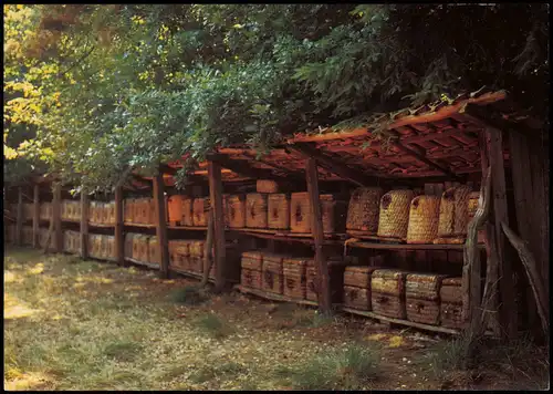 Ansichtskarte Hermannsburg Korb-Bienenstand der Imkerei Völker 1980