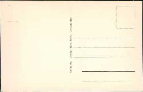 Ansichtskarte Wolkenburg-Kaufungen-Limbach-Oberfrohna Häuser und Bäume 1928