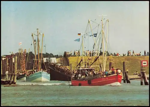 Ansichtskarte Friedrichskoog Regatta der Krabbenkutter, Nordsee 1976