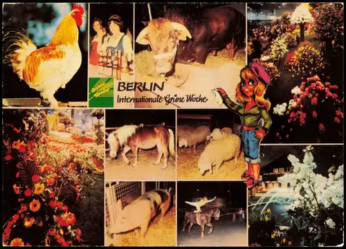 Ansichtskarte Berlin Grüne Woche Mehrbild 1981  gel Sonderstempel