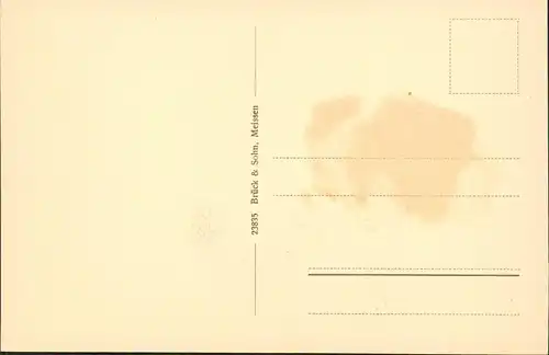 Ansichtskarte Bad Gottleuba-Berggießhübel Gottleubatal Wasserfall 1928