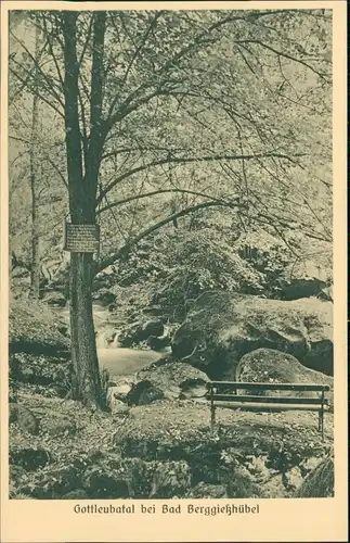 Bad Gottleuba-Berggießhübel Gottleubatal Bank an Gottleuba Baum mit Schild 1928