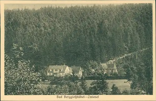 Ansichtskarte Zwiesel-Bad Gottleuba-Berggießhübel Häuser am Waldrand 1928