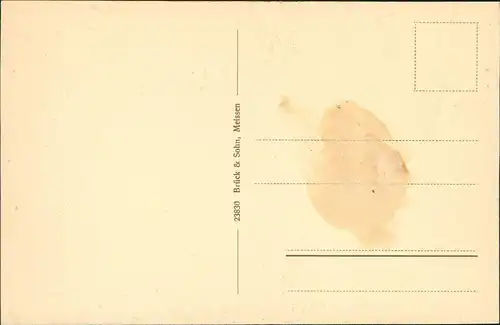 Ansichtskarte Zwiesel-Bad Gottleuba-Berggießhübel Häuser am Waldrand 1928