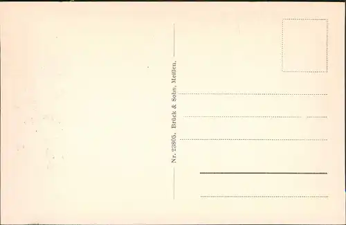 Ansichtskarte Waldenburg (Sachsen) Partie  fürstlicher Lustgarten 1928