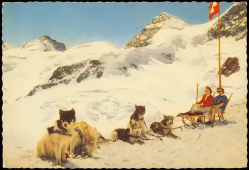 Ansichtskarte Lauterbrunnen Jungfraujoch, Schlitten, Schlittenhunde 1959