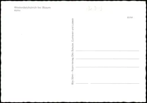 Ansichtskarte Büsum Mühle Westerdeichstrich bei Büsum 1980