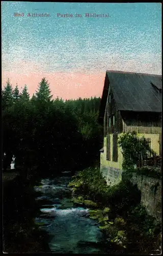 Postcard Bad Altheide Polanica-Zdrój Partie im Höllental 1914