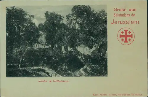 Jerusalem Jeruschalajim (רושלים) Jardin de Gethsemani (Mondschein-Karte) 1900