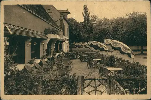 CPA Senonches Maison Coste HOTEL DE LA FORET 1930