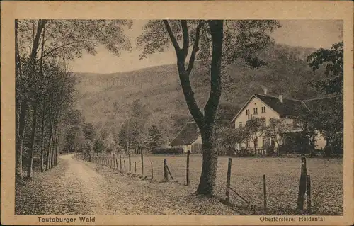 Hiddesen-Detmold Umland Teutoburger Wald Oberförsterei Heidental 1920
