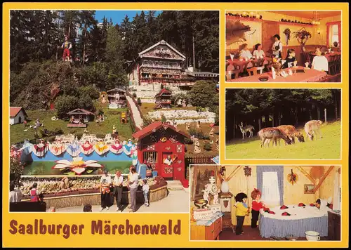 Saalburg-Ebersdorf (Saale) Mehrbildkarte Saalburger Märchenwald Tiergehege 1998