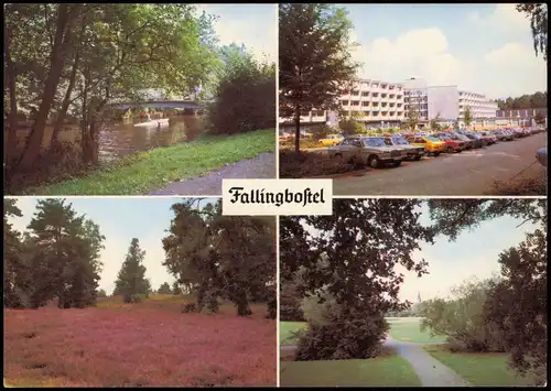 Bad Fallingbostel Heidelandschaft beim Löns-Grab, Kurpark, Kurklinik 1980