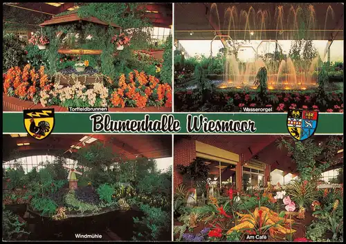 Wiesmoor Mehrbild-AK mit Blumenhalle Windmühle Torffeldbrunnen und Cafe 1991