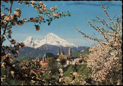Ansichtskarte Berchtesgaden Stadtblick Baumblüte 1963
