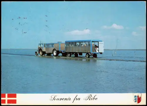 Postcard Ribe Souvenir fra Ribe Dänemark Syddanmark 1978