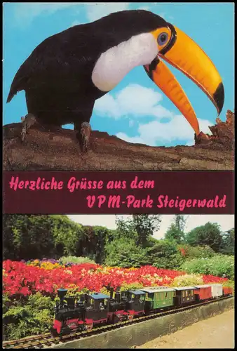 Ansichtskarte Geiselwind Vogel Pony Märchenpark Steigerwald 1970