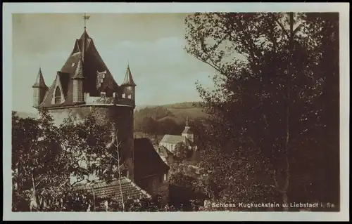 Ansichtskarte Liebstadt Schloss Kuckuckstein 1926