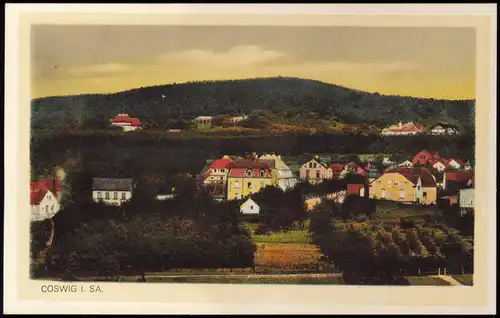 Ansichtskarte Coswig (Sachsen) Stadtpartie 1926