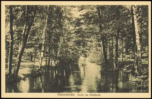 Ansichtskarte Elsterwerda Wikow Partie im Stadtpark 1924