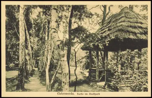 Ansichtskarte Elsterwerda Wikow Stadtpark, Birkenhain Pavillon 1924