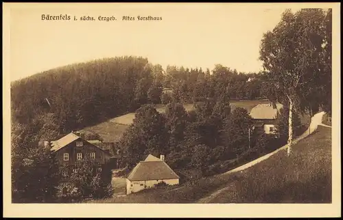 Bärenfels (Erzgebirge)-Altenberg (Erzgebirge) Erzgebirge Altes Forsthaus 1923