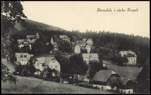 Ansichtskarte Bärenfels (Erzgebirge)-Altenberg (Erzgebirge) Stadtpartie 1923