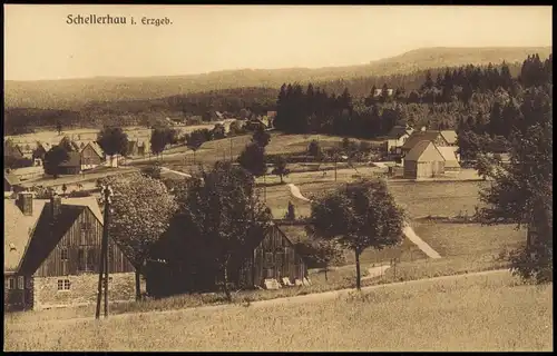 Ansichtskarte Schellerhau-Altenberg (Erzgebirge) Stadtpartie 1922