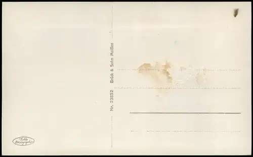 Ansichtskarte Bad Elster Panorama Fotokarte 1928