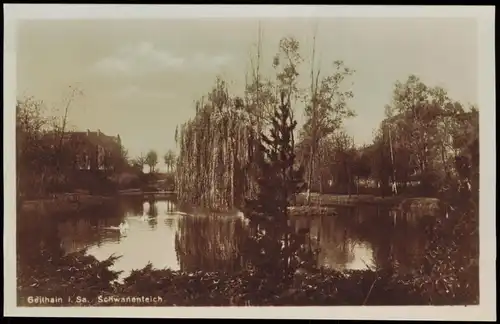 Ansichtskarte Geithain Sachsen Schwanenteich 1931